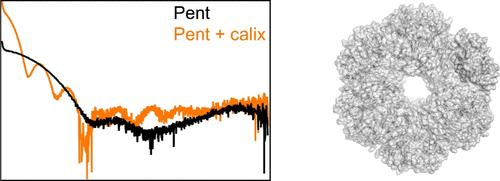 A Macrocycle-Mediated Protein Cage