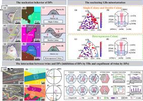 The role of grain and twin boundaries on discontinuous precipitation of Mg17Al12 phase in Mg-Al alloy