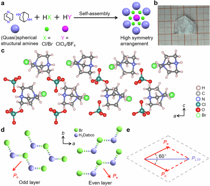 Noncollinear ferroelectric and screw-type antiferroelectric phases in a metal-free hybrid molecular crystal