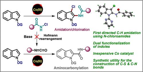 Harnessing Dual Reactivity of N-Chloroamides for Cascade C–H Amidation/Chlorination of Indoles under Cobalt-Catalysis: Overriding Hofmann Rearrangement Pathway Leading to Aminocarbonylation