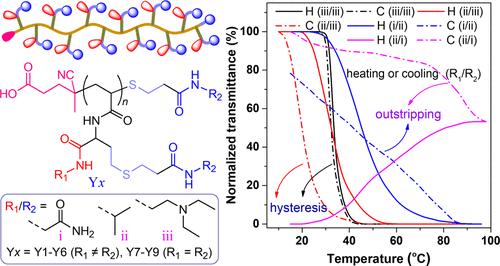 Thermo/pH-Responsive Multiamide-Functionalized Y-Junction-Bearing Polyacrylamides with Substituent-Dependent Thermal Reversibility