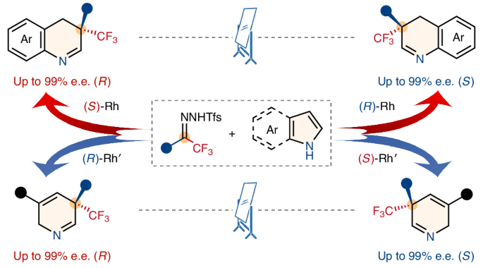 Asymmetric dearomative single-atom skeletal editing of indoles and pyrroles