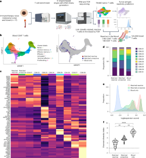 Circulating tumor-reactive KIR+CD8+ T cells suppress anti-tumor immunity in patients with melanoma