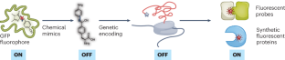 Mimicking fluorophores from nature to generate artificial fluorescent proteins and biosensors