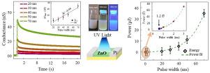 Persistent photoconductivity and Emulating Ebbinghaus forgetting curve via characterization of excitatory synaptic transmission in a ZnO-based optoelectronic synapse with ultra-low power (∼ fJ) consumption