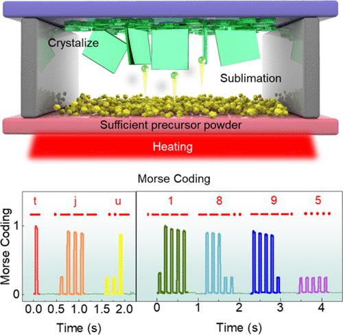 Space-Confined Vertical Growth of Large-Size Organic Semiconductor Single Crystals