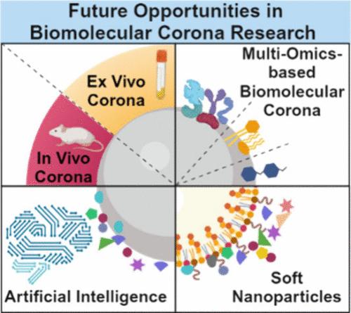 Approaching Two Decades: Biomolecular Coronas and Bio–Nano Interactions