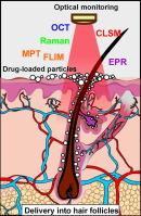 Current issues in optical monitoring of drug delivery via hair follicles