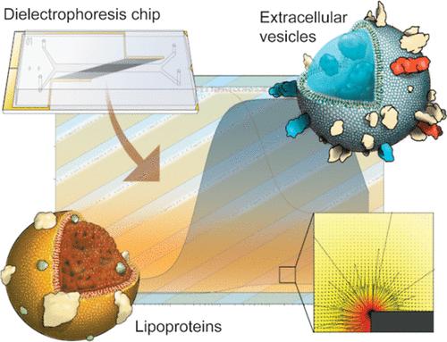 Microfluidic Dielectrophoretic Purification of Extracellular Vesicles from Plasma Lipoproteins