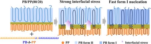 Accelerated Phase Transition of Polybutene-1 in Polybutene-1/Polypropylene Blends Induced by Poly((butene-1)-block-propylene) Copolymers