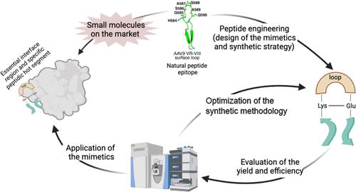 Advancements in Loop Cyclization Approaches for Enhanced Peptide Therapeutics for Targeting Protein–Protein Interactions