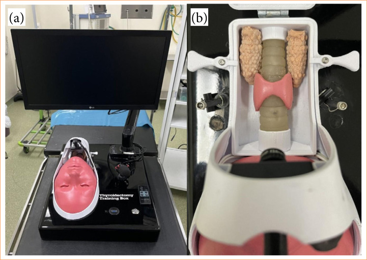 Development and validation of the thyroidectomy training box: cervical simulator for training endoscopic transoral thyroidectomy.