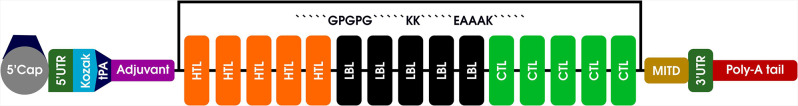 Bioinformatics designing of an mRNA vaccine for Mokola virus (MOKV) using immunoinformatics as a secure strategy for successful vaccine development.