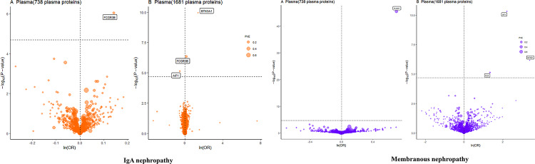 Investigating potential drug targets for IgA nephropathy and membranous nephropathy through multi-queue plasma protein analysis: a Mendelian randomization study based on SMR and co-localization analysis.
