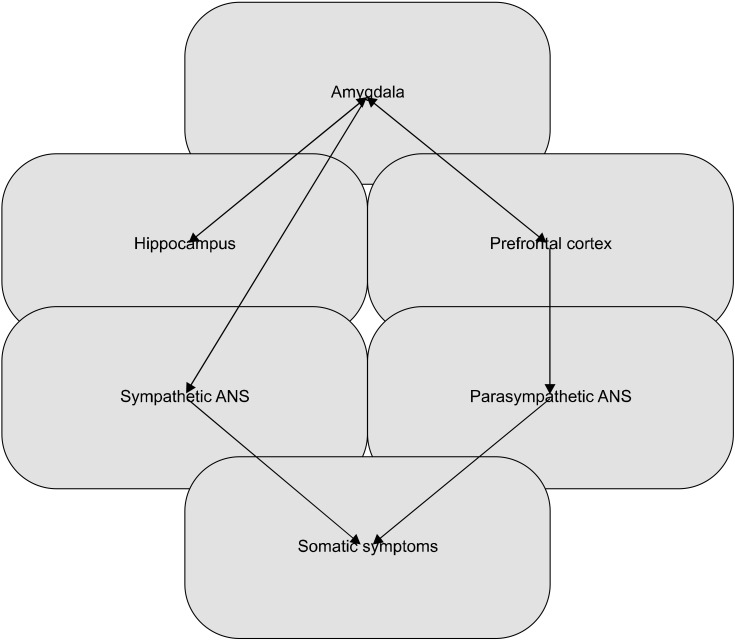 Psychosomatics: Communication of the Central Nervous System through Connection to Tissues, Organs, and Cells.