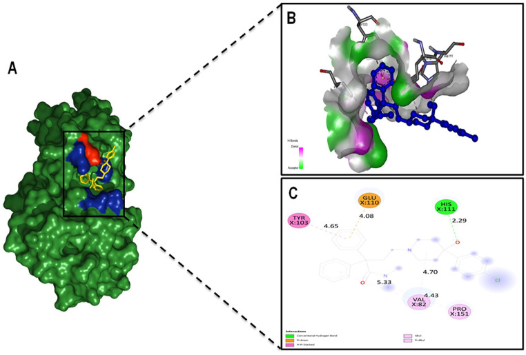 <i>In silico</i> Characterization of a Hypothetical Protein (PBJ89160.1) from <i>Neisseria meningitidis</i> Exhibits a New Insight on Nutritional Virulence and Molecular Docking to Uncover a Therapeutic Target.