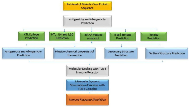 Bioinformatics designing of an mRNA vaccine for Mokola virus (MOKV) using immunoinformatics as a secure strategy for successful vaccine development.