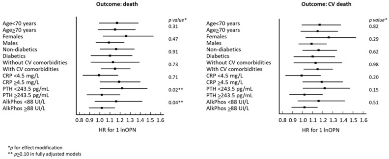 Abstract Image