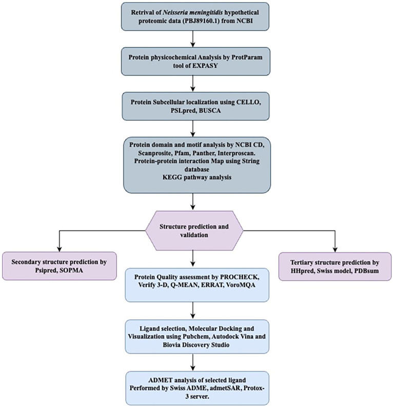 <i>In silico</i> Characterization of a Hypothetical Protein (PBJ89160.1) from <i>Neisseria meningitidis</i> Exhibits a New Insight on Nutritional Virulence and Molecular Docking to Uncover a Therapeutic Target.