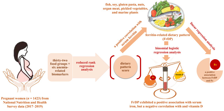A ferritin-related dietary pattern is positively associated with iron status but negatively associated with vitamin D status in pregnant women: a cross-sectional study.