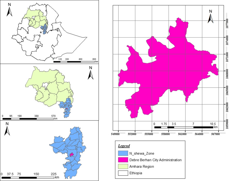 Effect of double-duty interventions on double burden of malnutrition among adolescents in Debre Berhan Regiopolitan City, Ethiopia: a cluster randomised controlled trial.