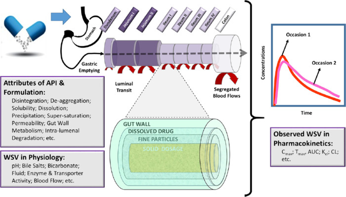 PBBM Considerations for Base Models, Model Validation, and Application Steps: Workshop Summary Report.