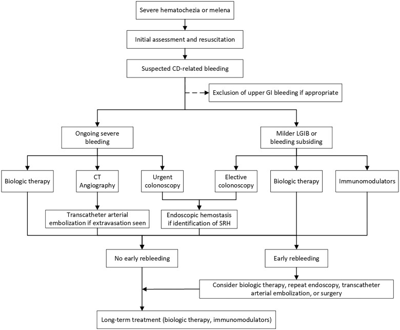 A comprehensive review and update on acute severe lower gastrointestinal bleeding in Crohn's disease: a management algorithm.
