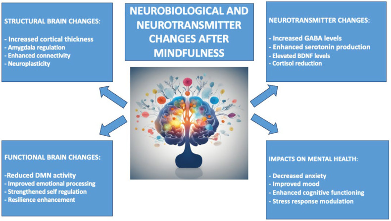 Neurobiological Changes Induced by Mindfulness and Meditation: A Systematic Review.