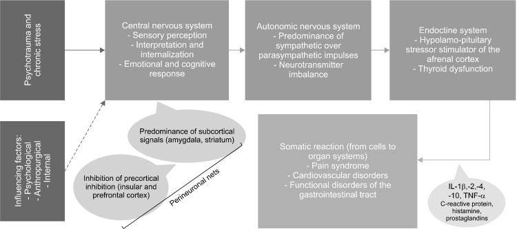 Psychosomatics: Communication of the Central Nervous System through Connection to Tissues, Organs, and Cells.