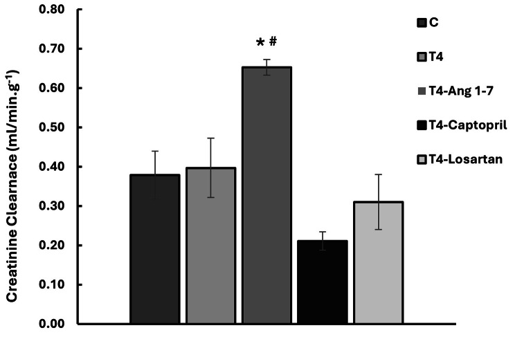 Losartan is more effective than angiotensin (1-7) in preventing thyroxine-induced renal injury in the rat.