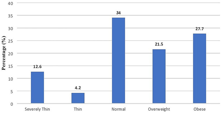 Understanding childhood obesity in Pakistan: exploring the knowledge, attitudes, practices of mothers, and influential factors. A cross-sectional study.