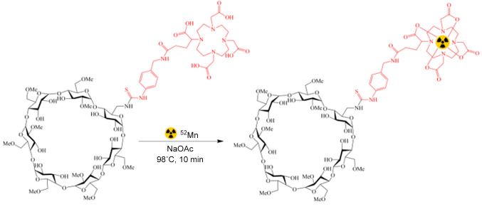 <sup>52</sup>Mn-labelled Beta-cyclodextrin for Melanoma Imaging: A Proof-of-concept Preclinical Study.