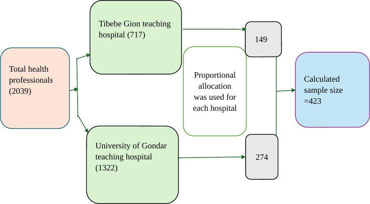 Attitudes of Health Professionals Toward Digital Health Data Security in Northwest Ethiopia: Cross-Sectional Study.