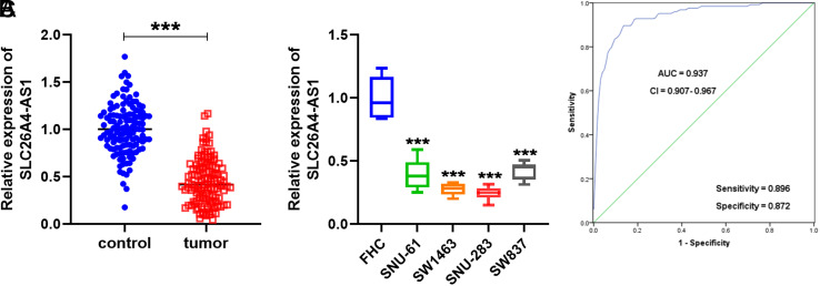 Diagnostic Value of Plasma Long Non-coding SLC26A4 Antisense RNA 1 Combined with Magnetic Resonance Imaging in Rectal Cancer.