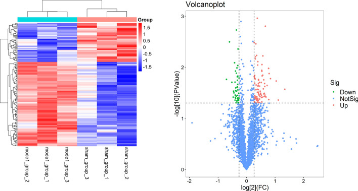 Discovery of potential ferroptosis and osteoporosis biomarkers through TMT proteomics and bioinformatics analysis.
