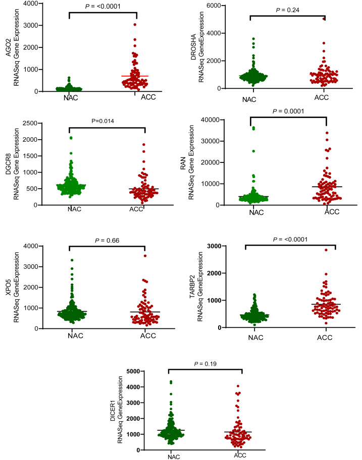 AGO2 protein: a key enzyme in the miRNA pathway as a novel biomarker in adrenocortical carcinoma.