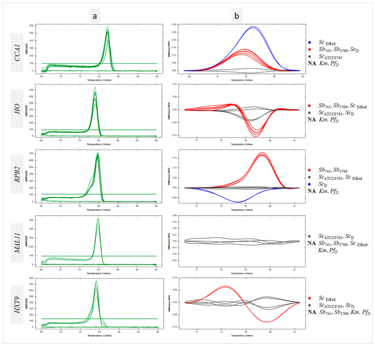High-Resolution Melting Analysis Potential for <i>Saccharomyces cerevisiae</i> var. <i>boulardii</i> Authentication in Probiotic-Enriched Food Matrices.