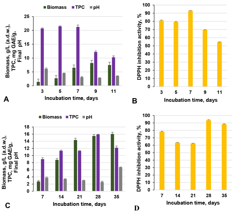 Enhancement of antioxidant activity and total phenolic content of Fomitopsis pinicola mycelium extract.