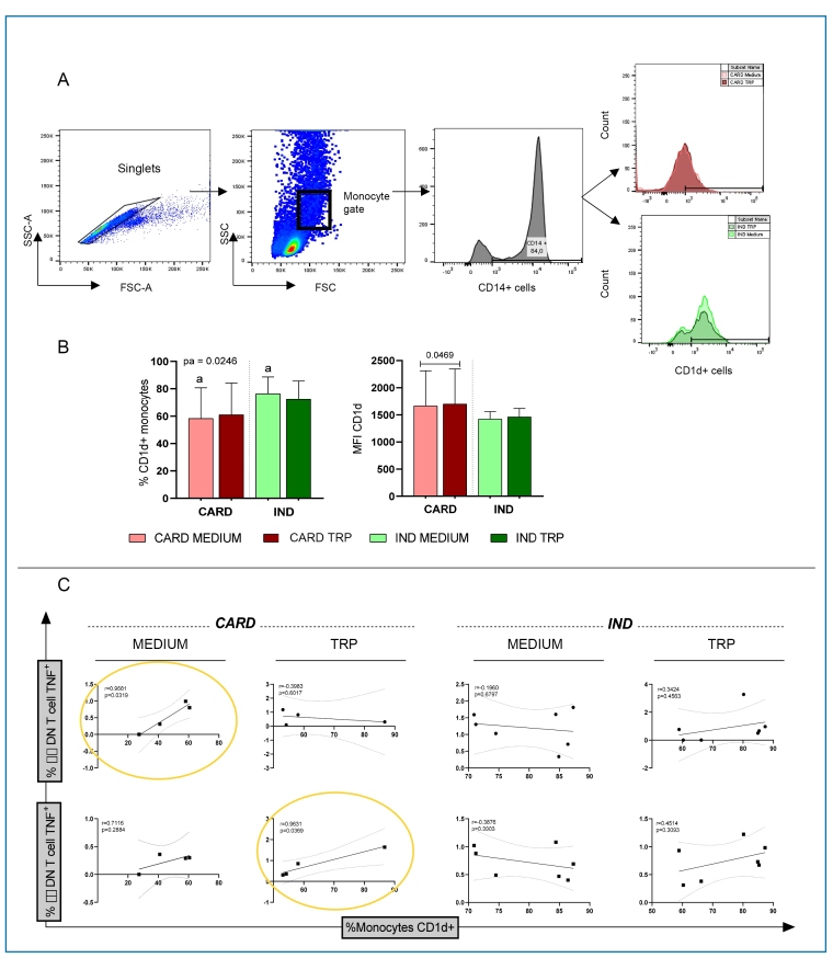 TNF-expressing CD1d+ monocytes are associated with the activation of CD4- CD8- T cells in patients with Chagas cardiomyopathy.