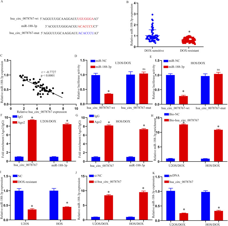 Hsa_circ_0078767 Enhances Osteosarcoma Chemoresistance to Doxorubicin Through the Regulation of the miR-188-3p/GPX4 Axis.