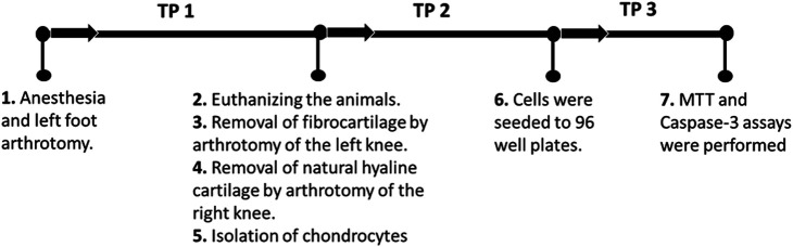 Comparison of the bioactivity and apoptotic responses of hyaline cartilage chondrocytes and fibrocartilage chondrocytes obtained by bone marrow stimulation in rats.