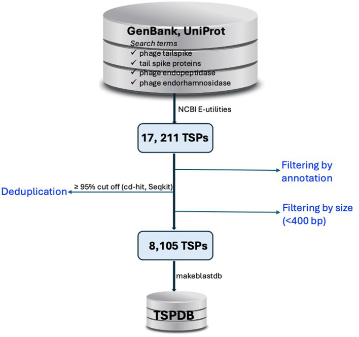 TSPDB: a curated resource of tailspike proteins with potential applications in phage research.