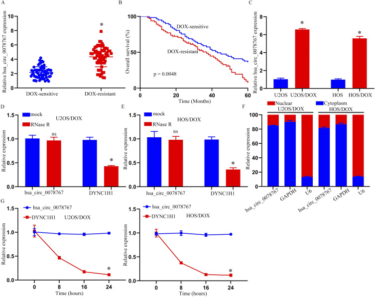Hsa_circ_0078767 Enhances Osteosarcoma Chemoresistance to Doxorubicin Through the Regulation of the miR-188-3p/GPX4 Axis.