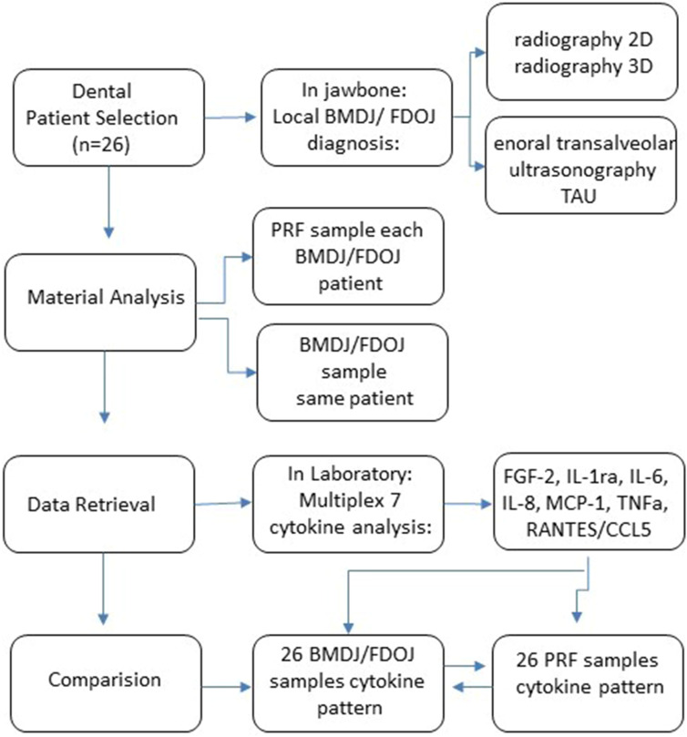 Platelet-Rich Fibrin (PRF) Analyzed for Cytokine Profiles - A Misguided Hope for Osteogenesis in Jawbone Defects? Research and Clinical Observational Study.