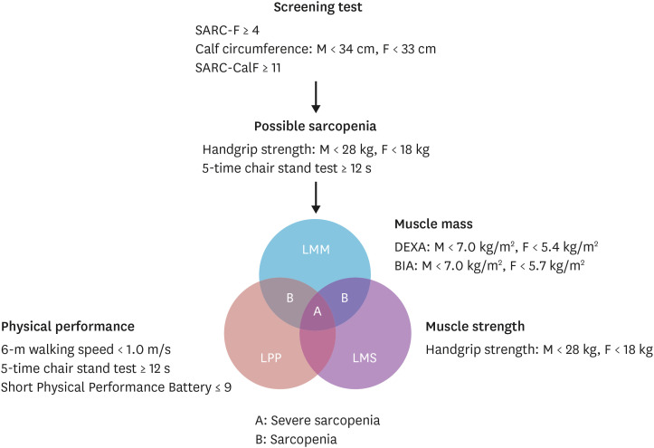 Stroke-Related Sarcopenia: Pathophysiology and Diagnostic Tools.