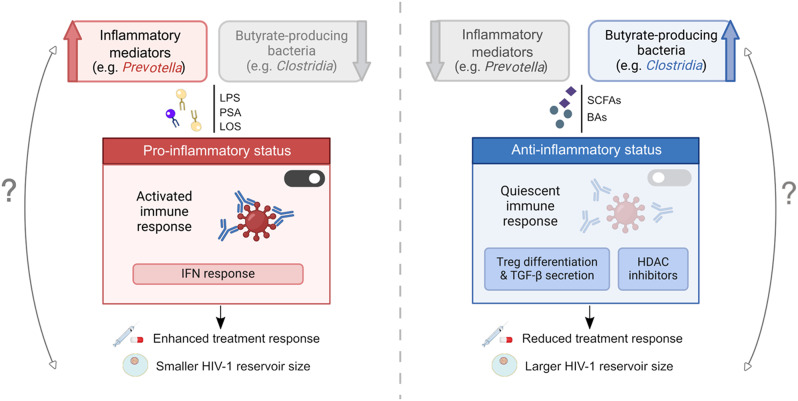 Exploring potential associations between the human microbiota and reservoir of latent HIV.
