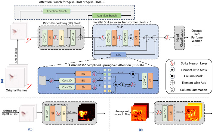 Spike-HAR++: an energy-efficient and lightweight parallel spiking transformer for event-based human action recognition.