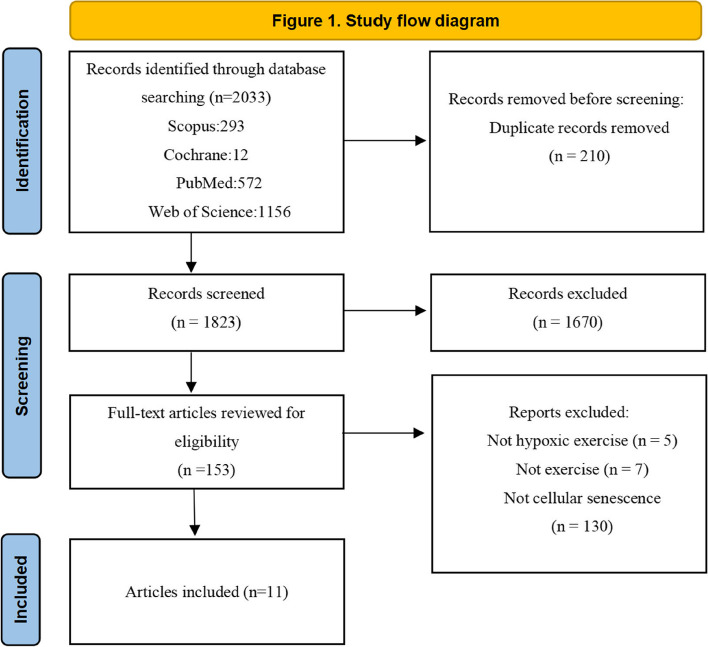 Can hypoxic exercise retard cellular senescence? A narrative review.