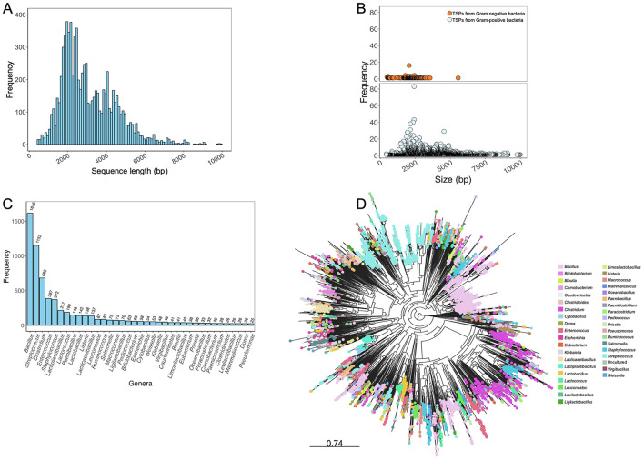 TSPDB: a curated resource of tailspike proteins with potential applications in phage research.