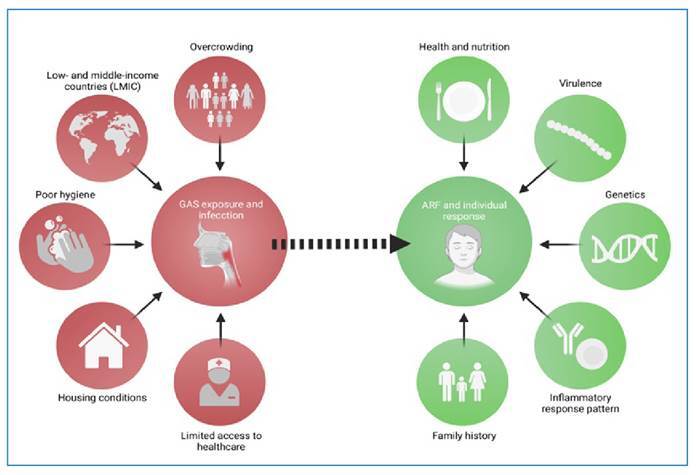 Risk Factors for Acute Rheumatic Disease: Exploring Factors at Individual and Collective Levels.
